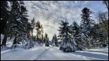 Winterausflug winterromantik Hüttengaudi